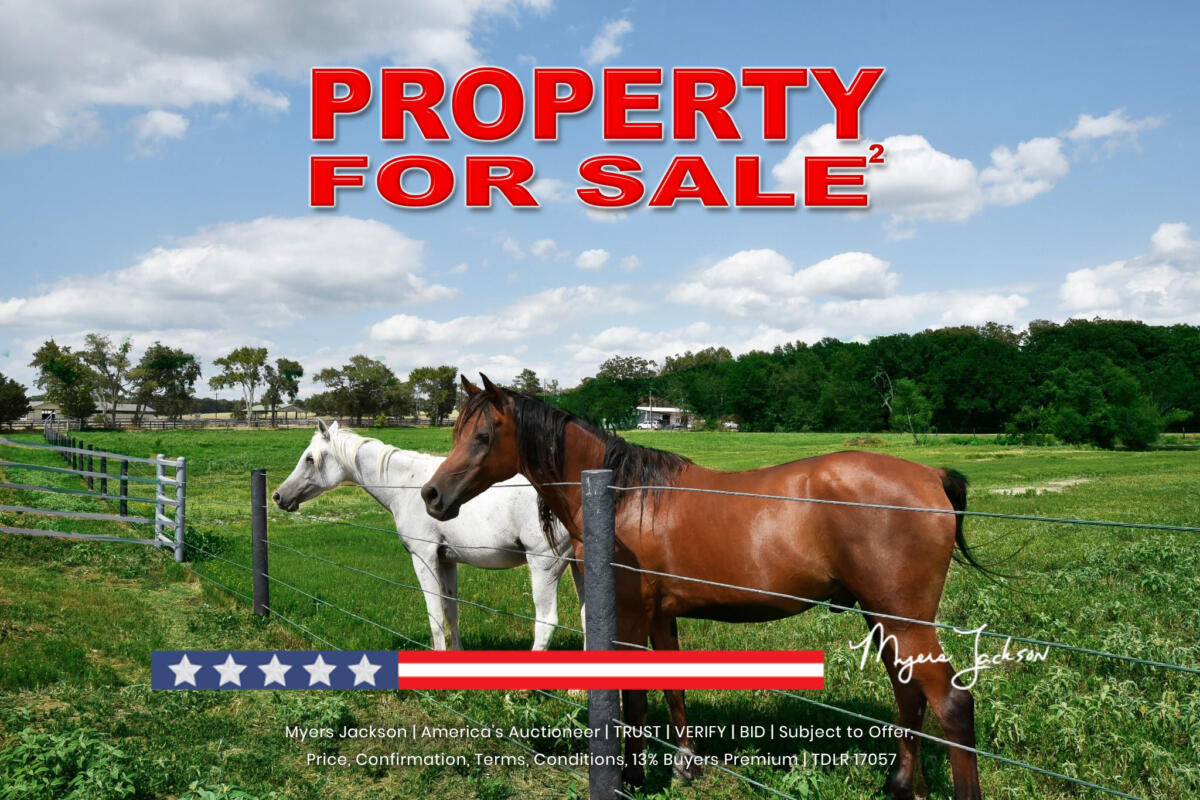 east texas horse farm for sale