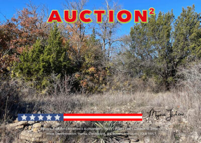 auction properties for sale