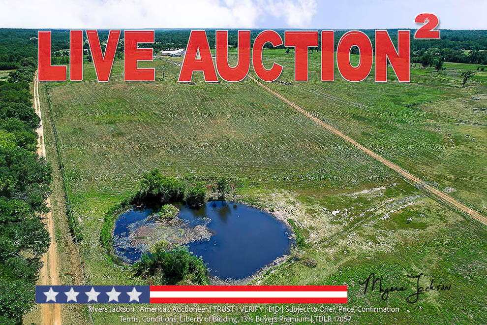 Texas Auctions for Land 