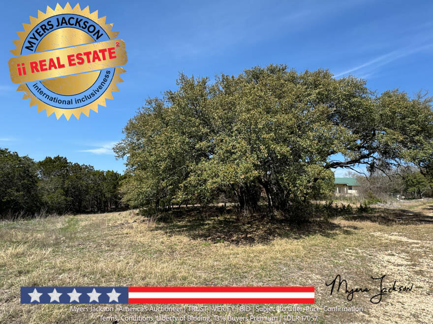 land for sale at auction burnet county texas