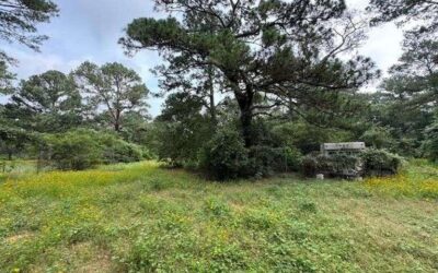 158 Fealy Rd Red Rock TX Prime Homestead for Sale at Auction