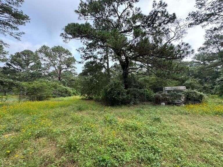 158 Fealy Rd Red Rock TX Prime Homestead for Sale at Auction
