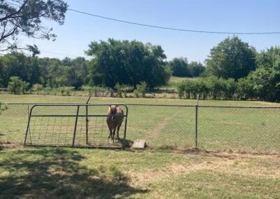 Wise County House with Land for Sale