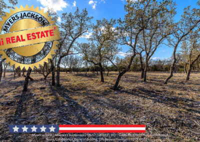 s3660 Spring Xing Junction Texas Hill Country Land Auction