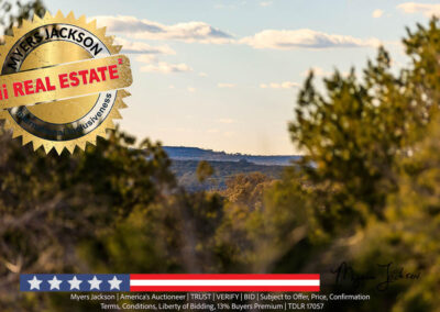 s3660 Spring Xing Junction Texas Hill Country Land Auction