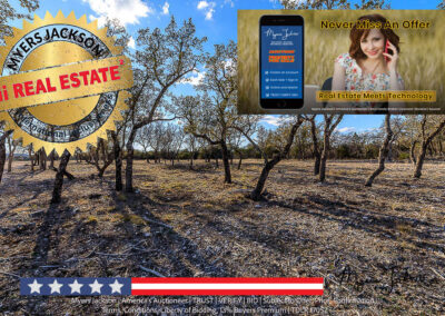 s3660 Spring Xing Junction Texas Hill Country Land Auction