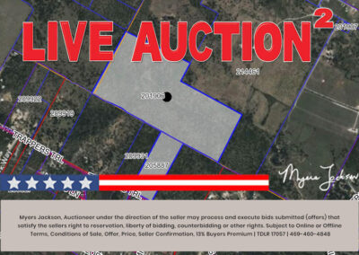 20900 Trappers Trl Manor TX Land for Sale at Auction