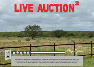 134 Acres Goose Creek Ranch Land Auction Jourdanton TX