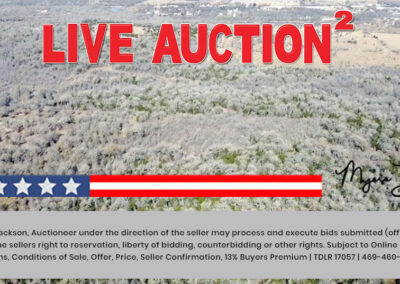 20900 Trappers Trl Manor TX Land for Sale at Auction