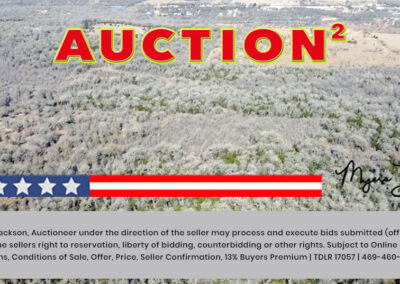 20900 Trappers Trl Manor TX Land for Sale at Auction