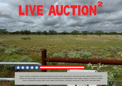 134 Acres Goose Creek Ranch Land Auction Jourdanton TX