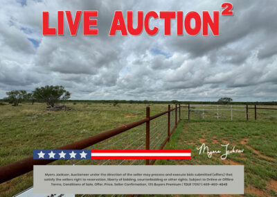 134 Acres Goose Creek Ranch Land Auction Jourdanton TX