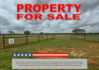 134 Acres Goose Creek Ranch Land Auction Jourdanton TX