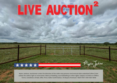 134 Acres Goose Creek Ranch Land Auction Jourdanton TX