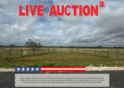 134 Acres Goose Creek Ranch Land Auction Jourdanton TX