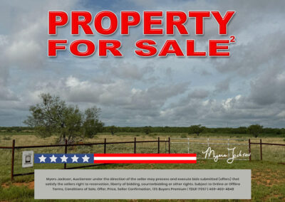 134 Acres Goose Creek Ranch Land Auction Jourdanton TX