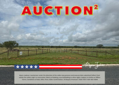 134 Acres Goose Creek Ranch Land Auction Jourdanton TX