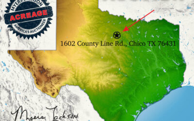 Big Texas Land Auction