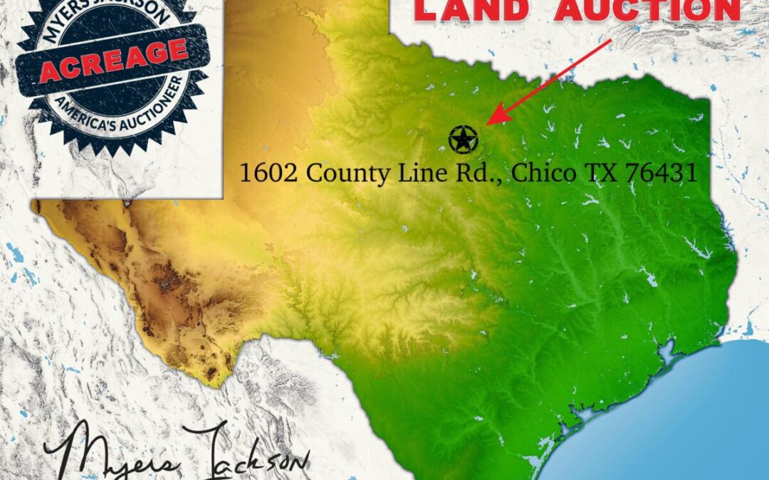 Big Texas Black Friday Land Auction