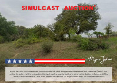 Big Texas Black Friday Land Auction