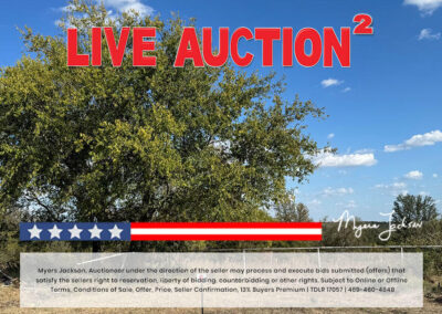 Big Texas Black Friday Land Auction