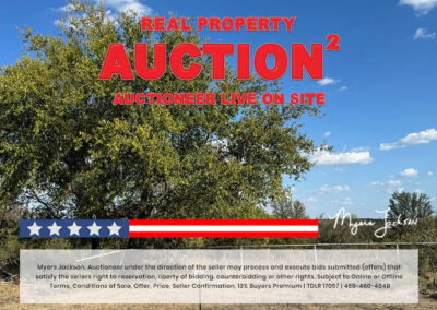 Big Texas Black Friday Land Auction