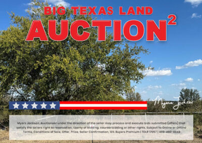 Big Texas Black Friday Land Auction