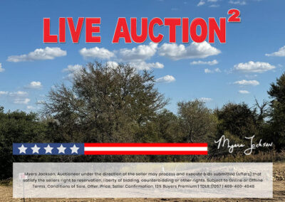 Big Texas Black Friday Land Auction