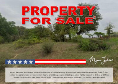 Big Texas Black Friday Land Auction