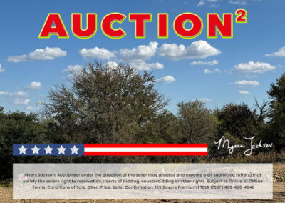 Big Texas Black Friday Land Auction