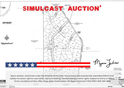 Big Texas Black Friday Land Auction