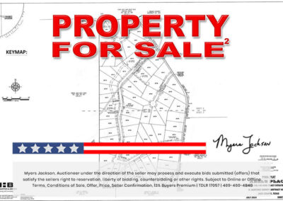 Big Texas Black Friday Land Auction