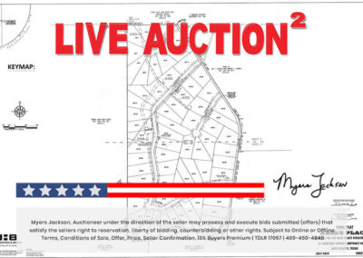 Big Texas Black Friday Land Auction