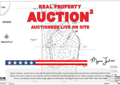 Big Texas Black Friday Land Auction