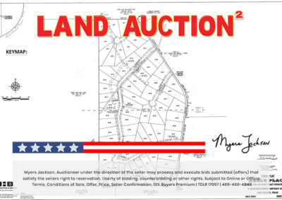 Big Texas Black Friday Land Auction