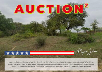 Big Texas Black Friday Land Auction