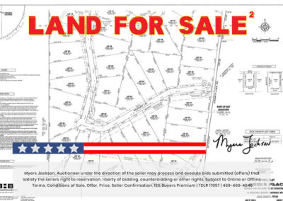 Big Texas Black Friday Land Auction