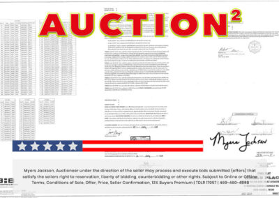 Big Texas Black Friday Land Auction