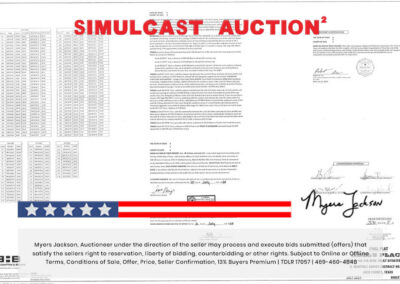 Big Texas Black Friday Land Auction