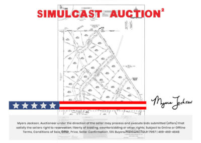 Big Texas Black Friday Land Auction