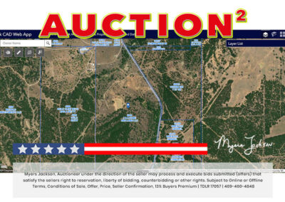 Big Texas Black Friday Land Auction