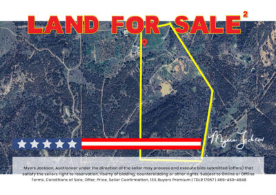 Big Texas Black Friday Land Auction