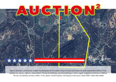 Big Texas Black Friday Land Auction