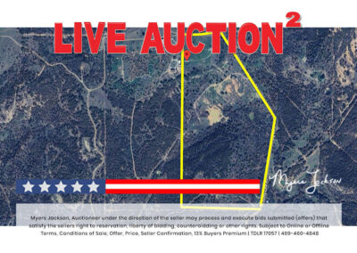 Big Texas Black Friday Land Auction