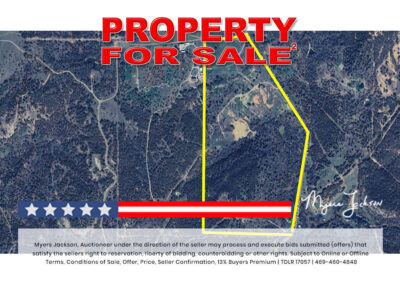 Big Texas Black Friday Land Auction