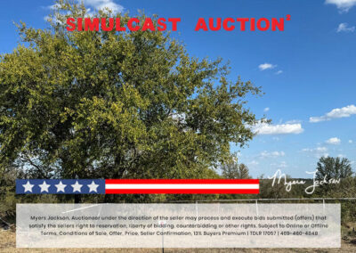 Big Texas Black Friday Land Auction