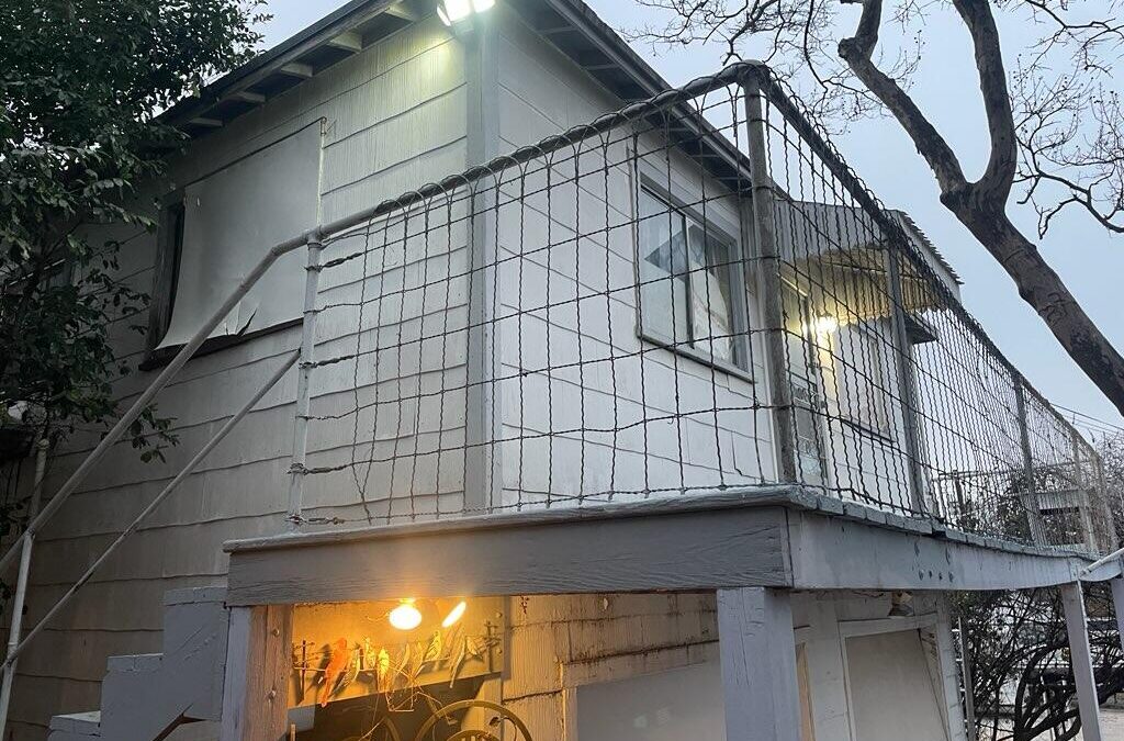 San Antonio Real Estate at Auction….