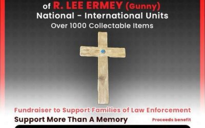 Operation: Patches, Badges, Pins & Coins