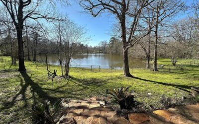 35 Susan Drive Cleveland TX House Auction TX 77327